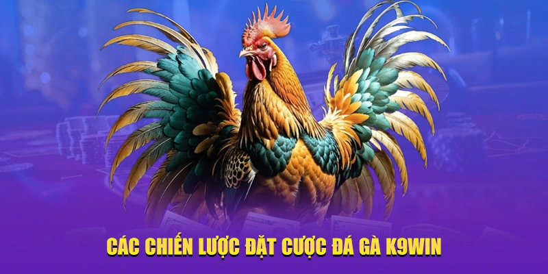 Các chiến lược đặt cược đá gà K9win