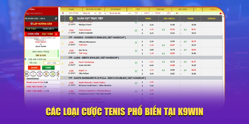Các loại cược tenis phổ biến tại K9win