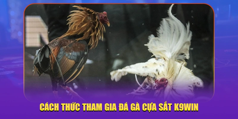 Cách thức tham gia đá gà cựa sắt K9win