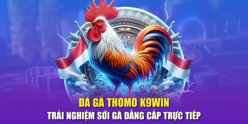 đá gà Thomo K9win