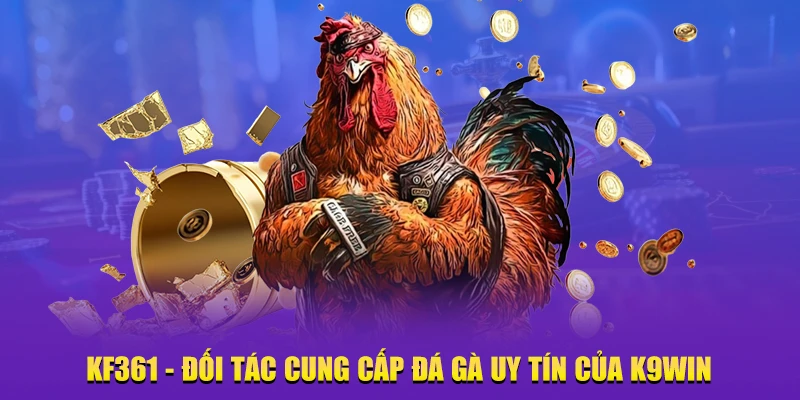 KF361 đá gà uy tín