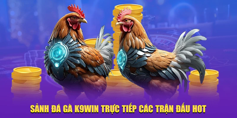 K9Win đá gà trực tiếp