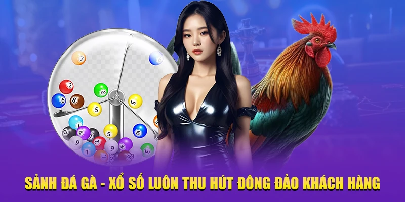 game cá cược K9win