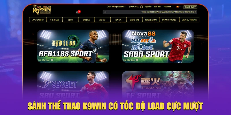 cá cược thể thao K9win