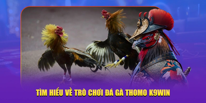 trò chơi đá gà Thomo K9win
