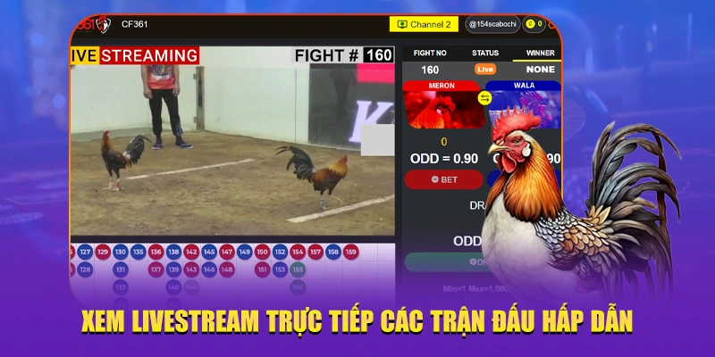 Xem livestream trực tiếp các trận đấu hấp dẫn