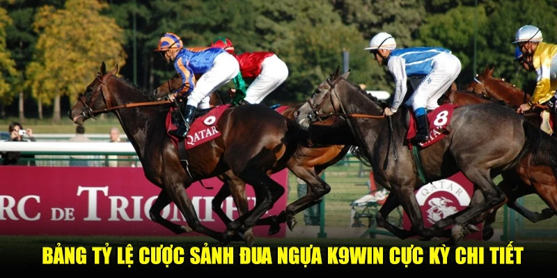 Bảng tỷ lệ cược sảnh đua ngựa K9win cực kỳ chi tiết