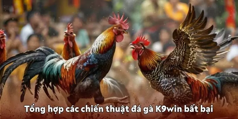 Chiến thuật đá gà