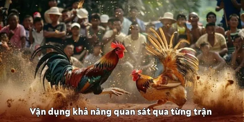 Vận dụng khả năng quan sát để đưa ra quyết định đúng