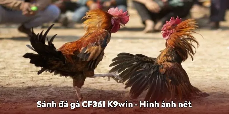 Hình ảnh nét, đường truyền ổn định