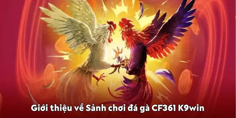 Giới thiệu về Sảnh chơi đá gà CF361 K9win