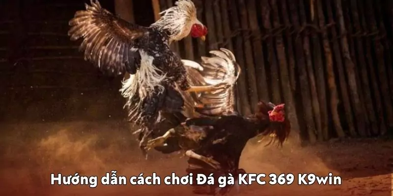 Hướng dẫn cách chơi đá gà KFC 369 K9win